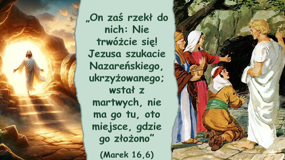 pl_vm2024t313.jpg