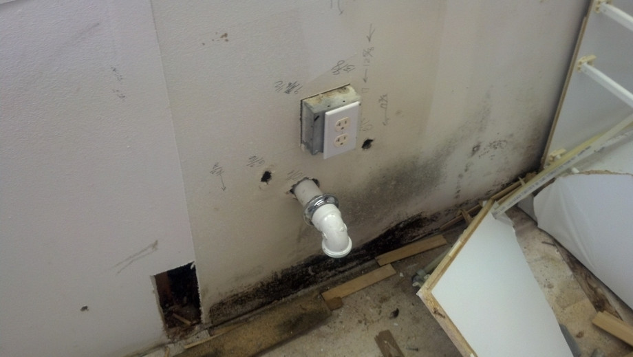 Sarasota Water Damage7.jpg