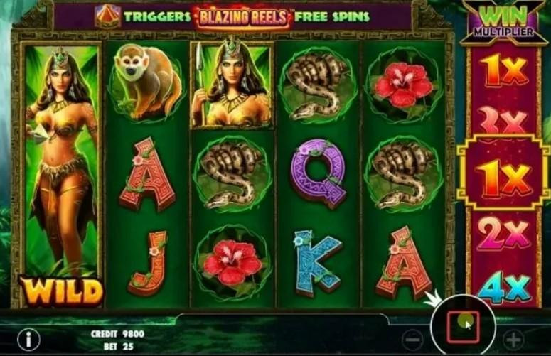 trochoinohurungxanhtai789p.jpg