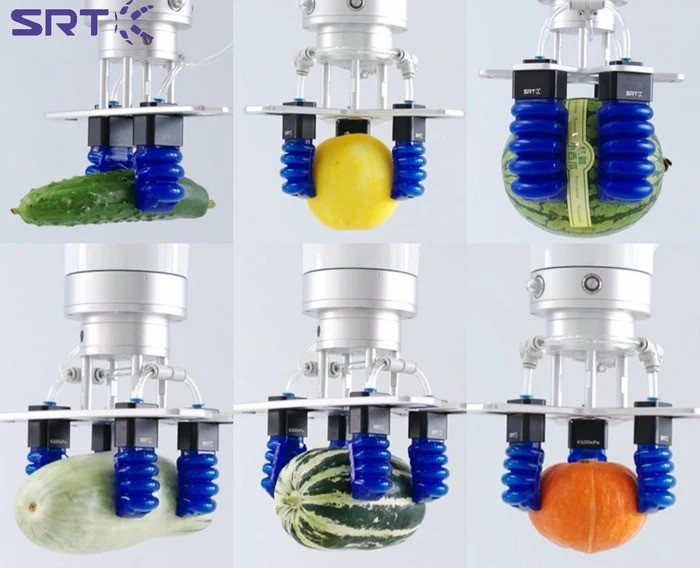 imageye____imgi_56_srt_foodgrade_soft_gripper_for_melon_sorting_and_packaging_88.jpg