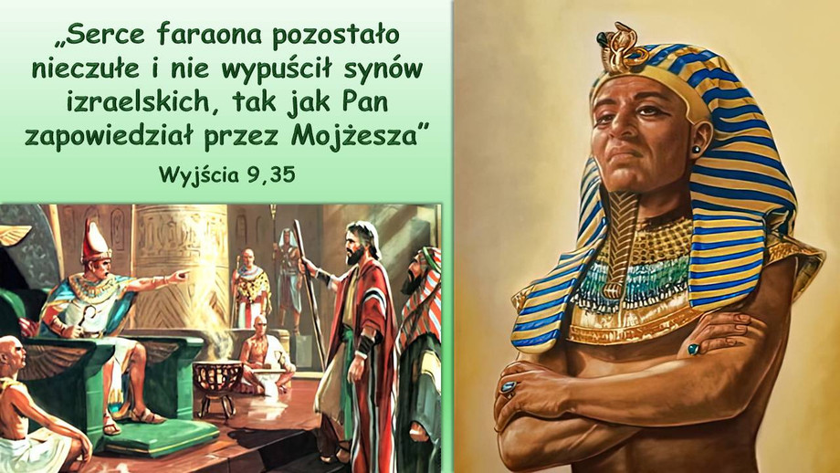 pl_vm2025t304.jpg