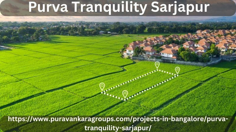 purvatranquilitysarjapur.jpg
