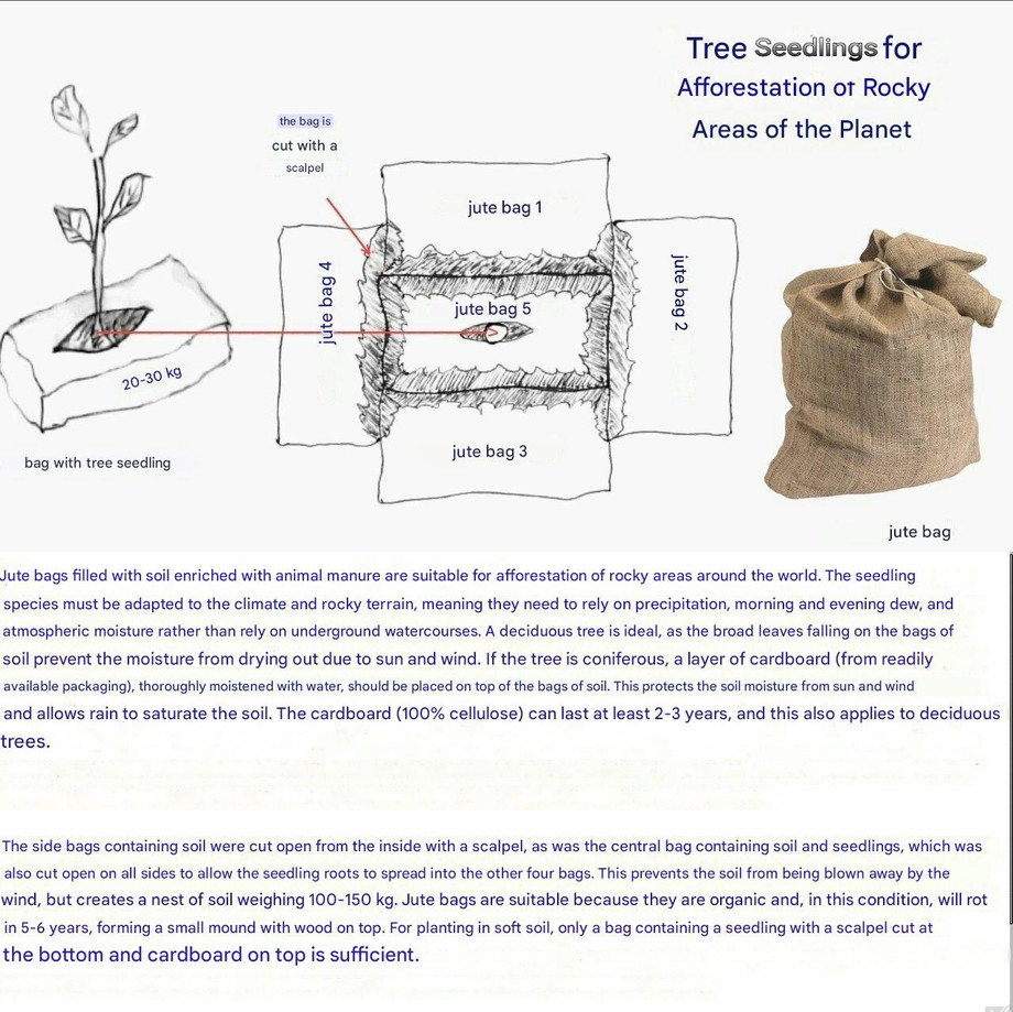tree_seedlings.jpg