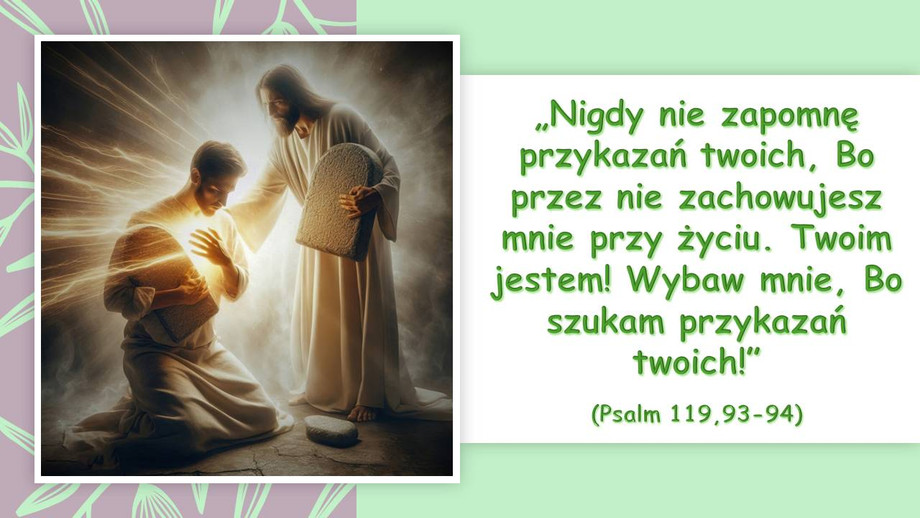 pl_vm2026t209.jpg