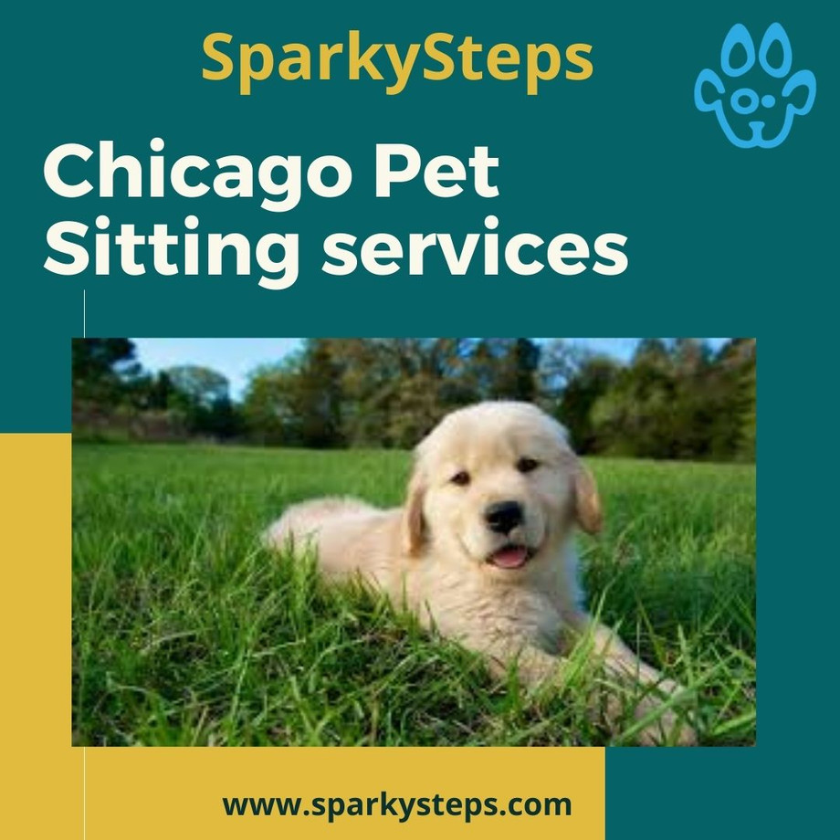 chicagopetsittingservices1.jpg