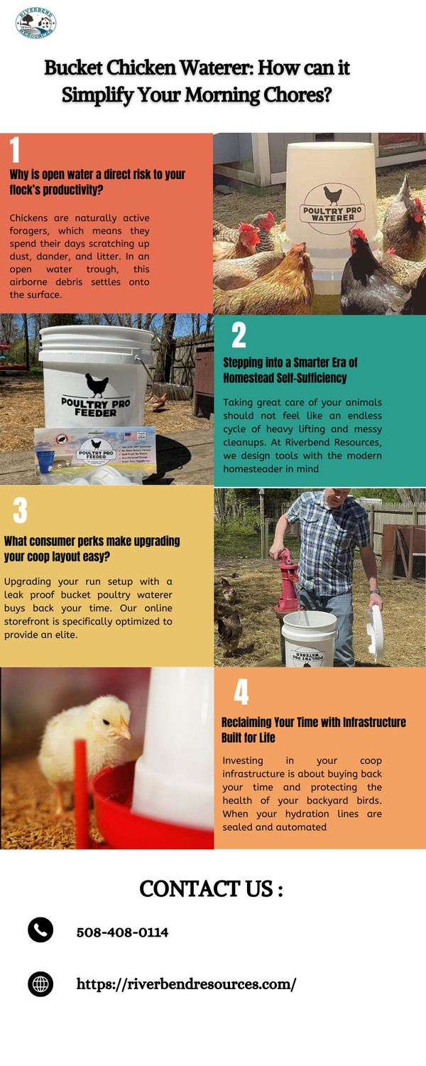 bucketchickenwatererhowcanitsimplifyyourmorningchores.jpg