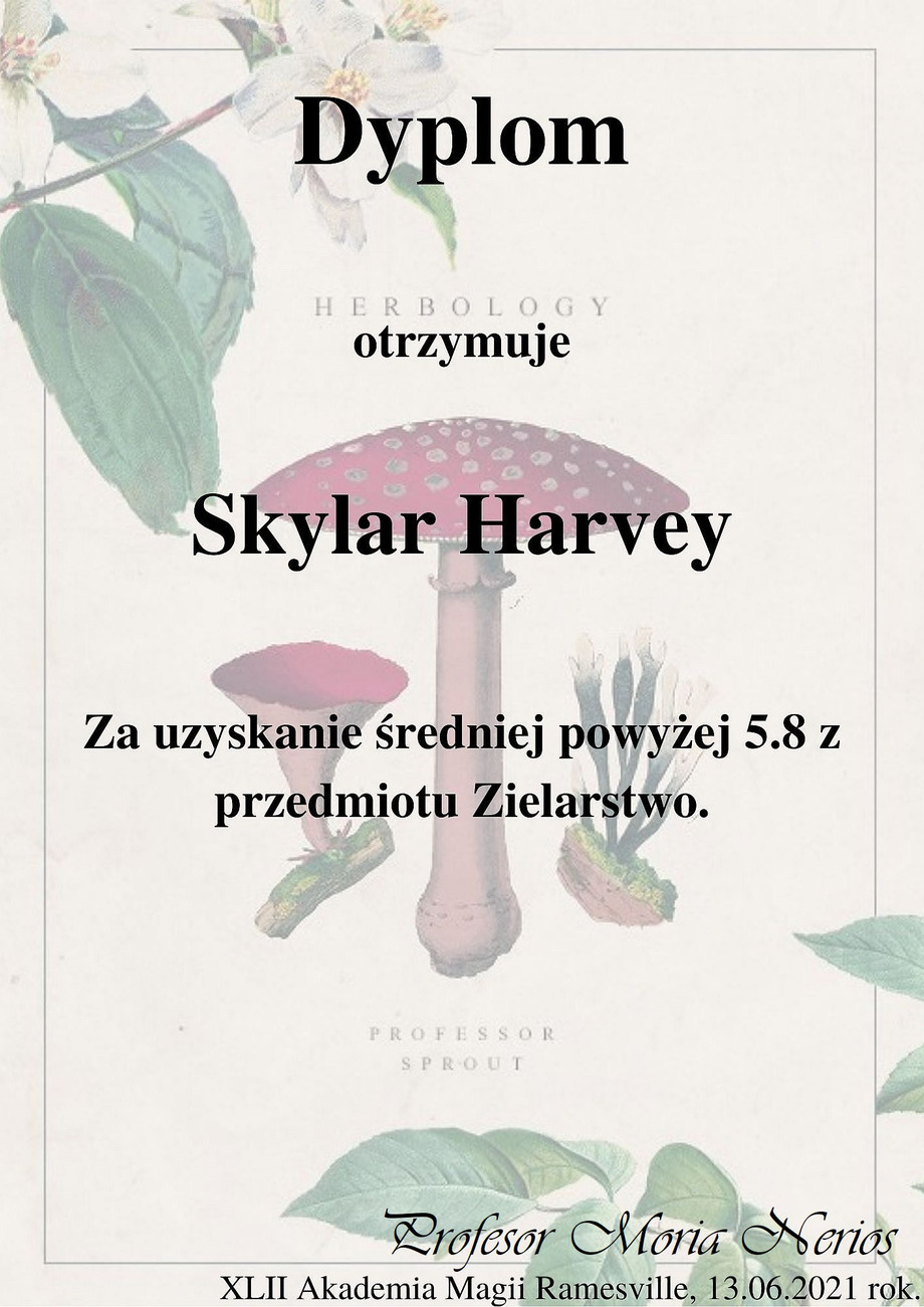 sky.jpg