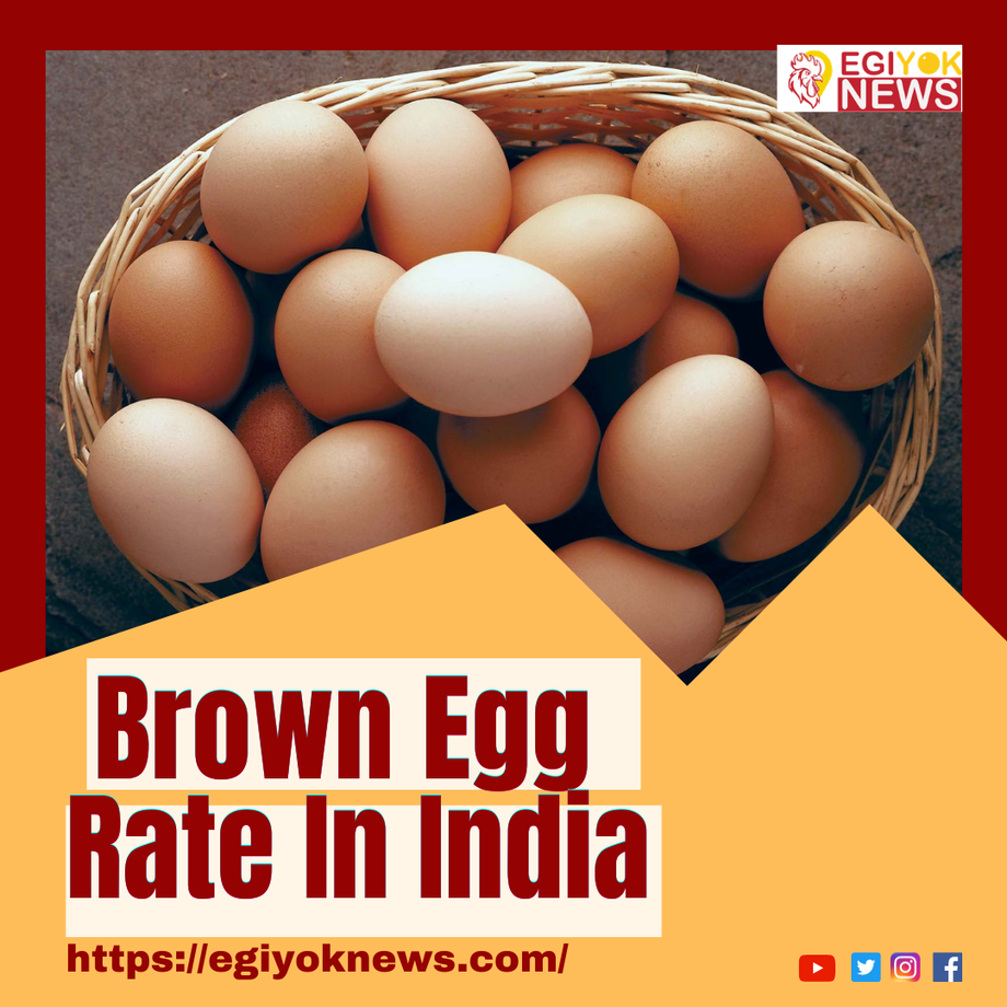 browneggrateinindia.png