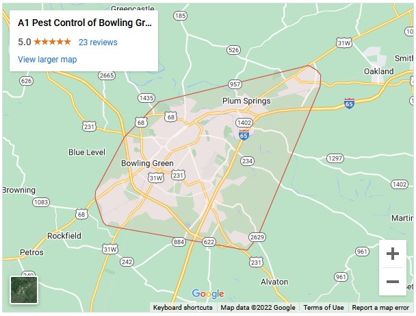 img_a1pestcontrolofbowlinggreen.jpg