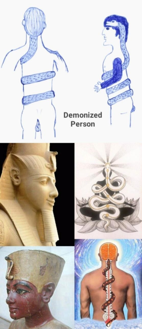 20251127_184826.jpg