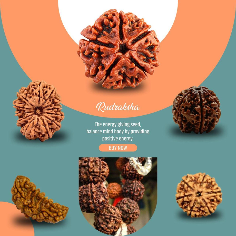 1mukhirudraksha.jpg