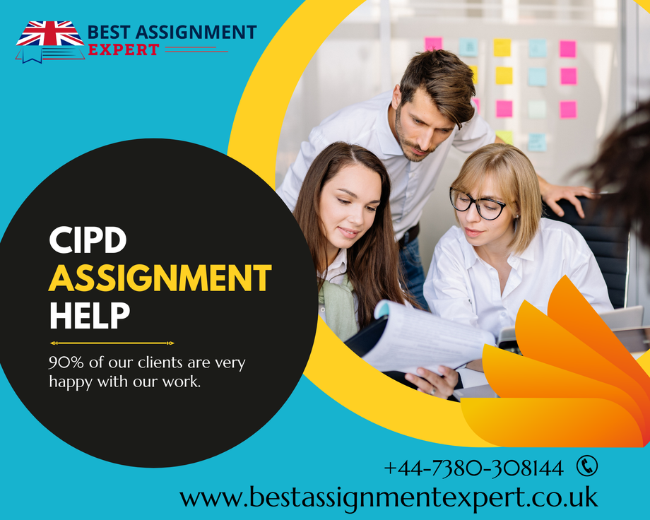cipdassignmenthelp2.png