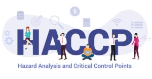 haccphazardanalysisandcriticalcontrolpointsvector27207728300x157.jpg