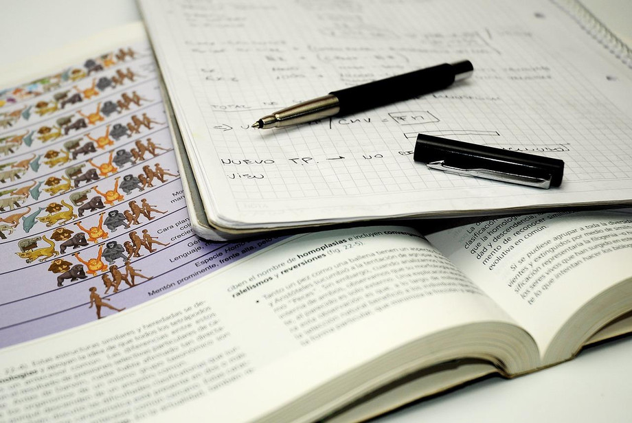 student732012_1280.jpg