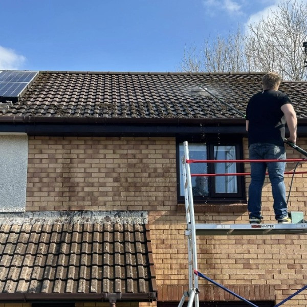 imgi_4_roofcleaningimagegallery3.jpeg