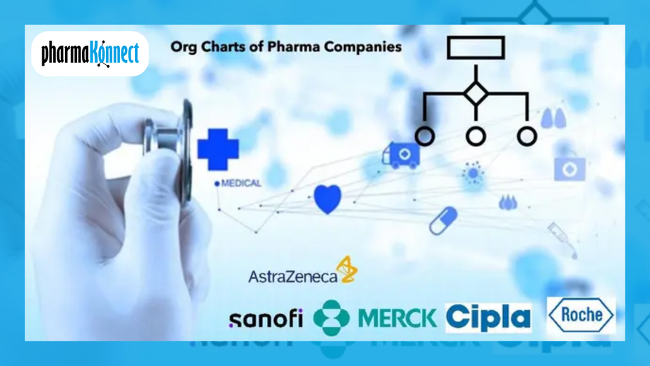 pharmacompanyorgcharts.png