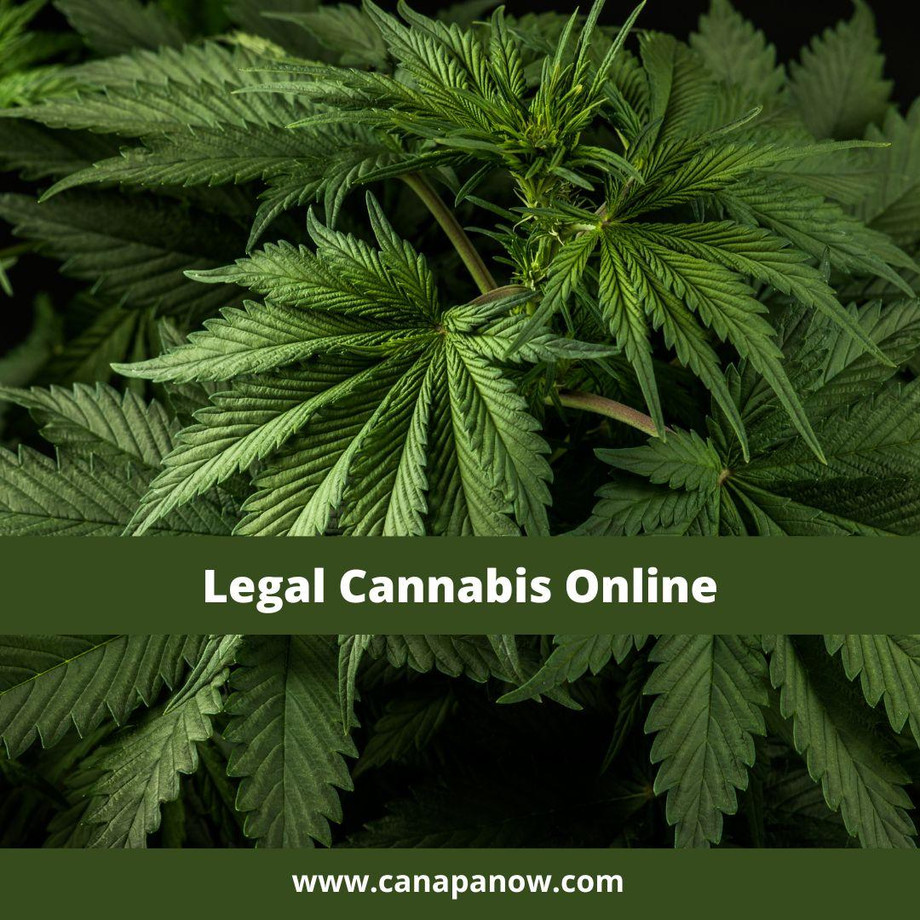 legalcannabisonline.jpg