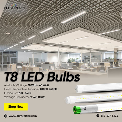 t8ledbulbs22.jpg