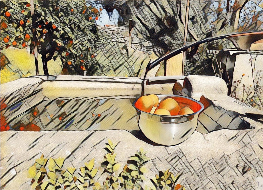 oledologodrawingbasindawnhouse.jpg