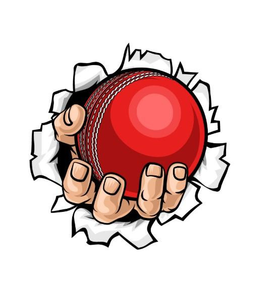 cricketidprovider.jpg