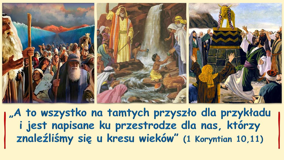 pl_vm2025t410.jpg
