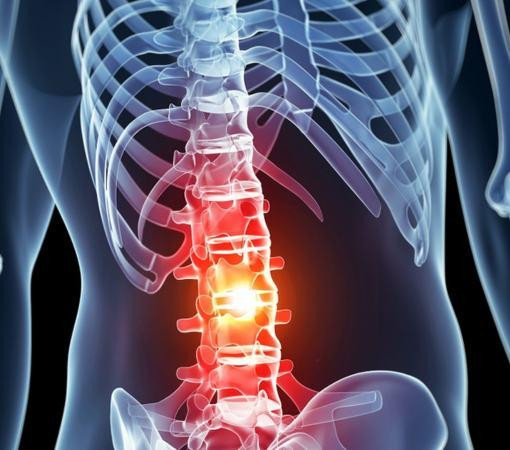 spinalcordinjury3.jpg