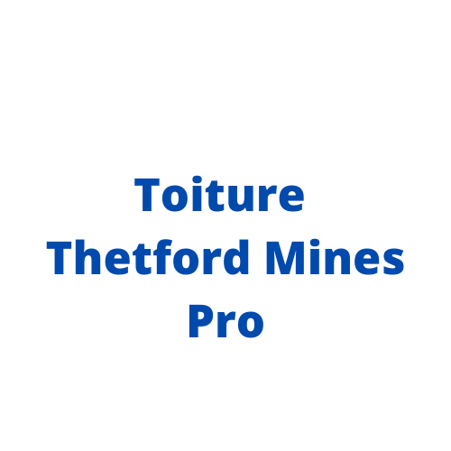 logo_de_toiture_thetford_mines_pro.png