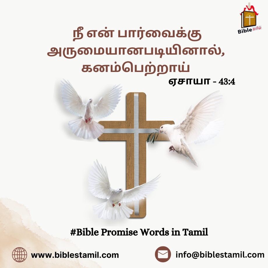 unlockingdivinebiblepromisewordsintamilbibletamilwordtreasures.png