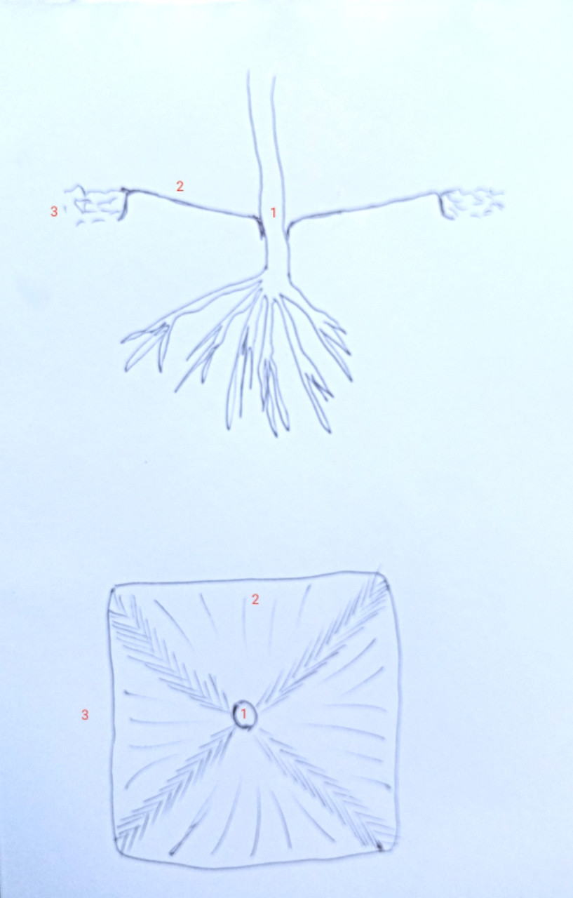 20250903_124456.jpg