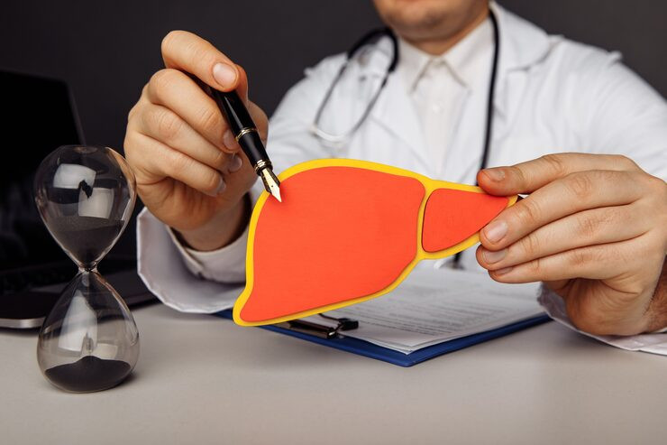 doctorshowingwoodenmodelliverhealthcaretreatmentconcept_25340150403.jpg