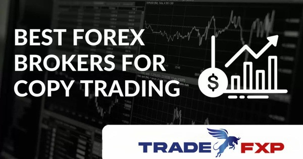 bestcopytradingbroker.jpg