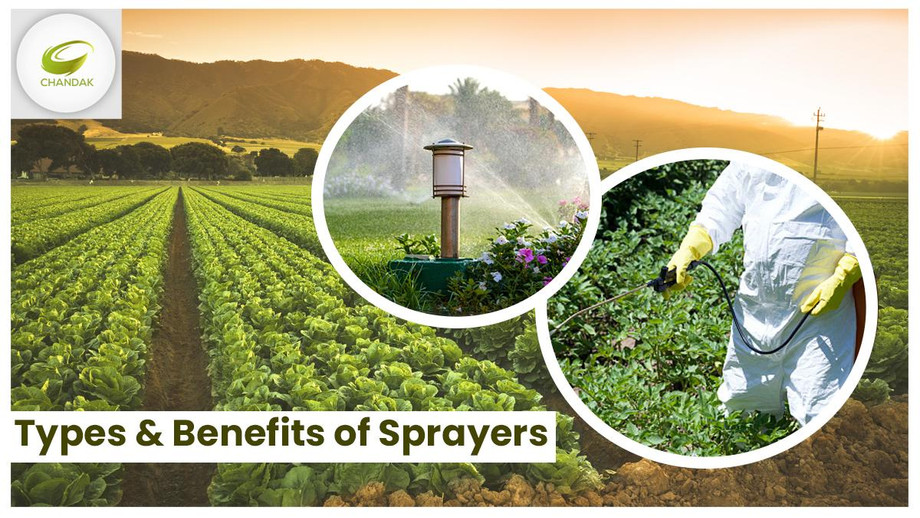 chandaktypesbenefitsofsprayers8sept.jpg