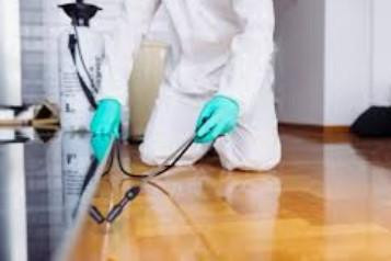 pestinfestationcleaningservices.jpg