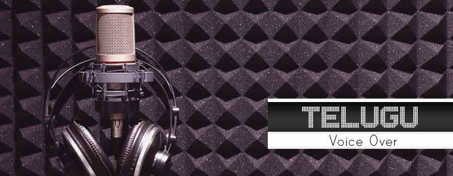 teluguvoiceoverservice.jpg