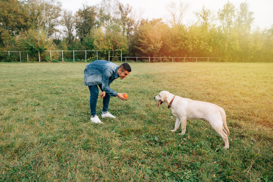 dogtrainerindubai1.jpg