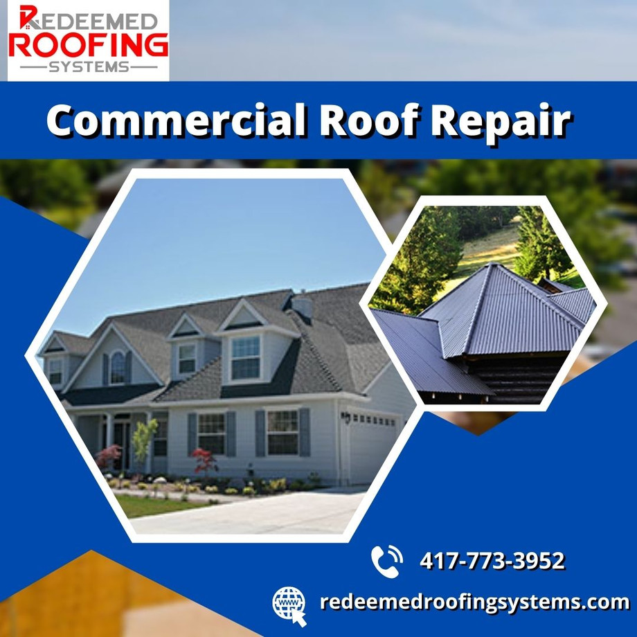 localroofersalbionin1.jpg