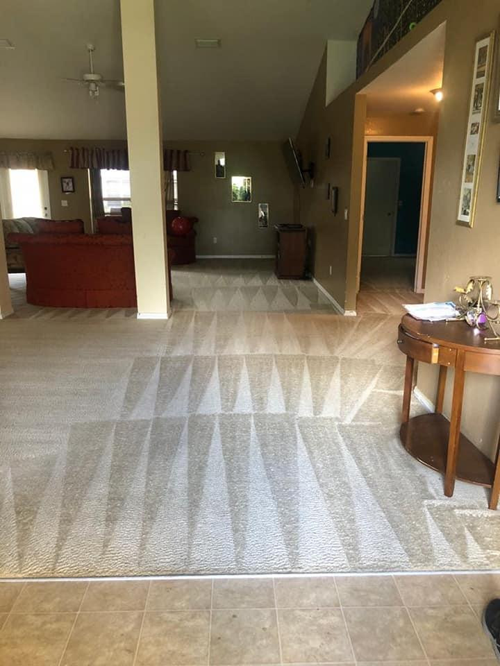 bestcarpetcleaninginlehighacresfl.jpg