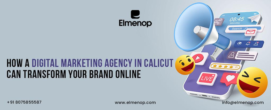 digitalmarketingagencyincalicut.jpg