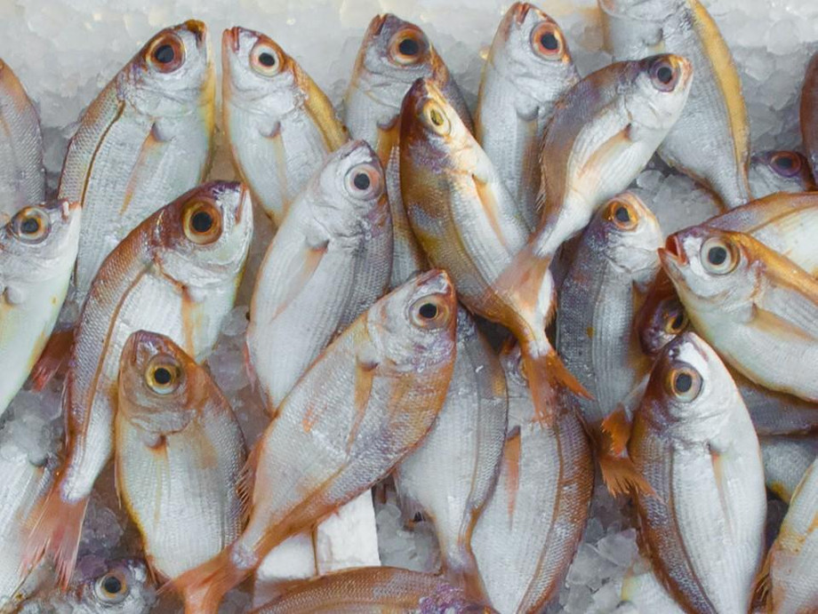 fishmarket.jfif