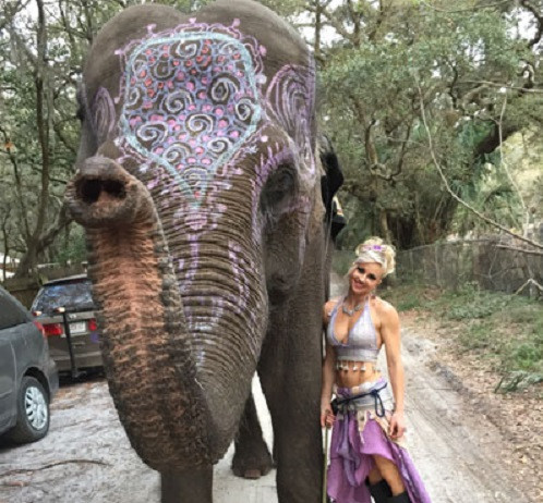 rentanelephantorlandoforspecialeventsandprograms.jpg