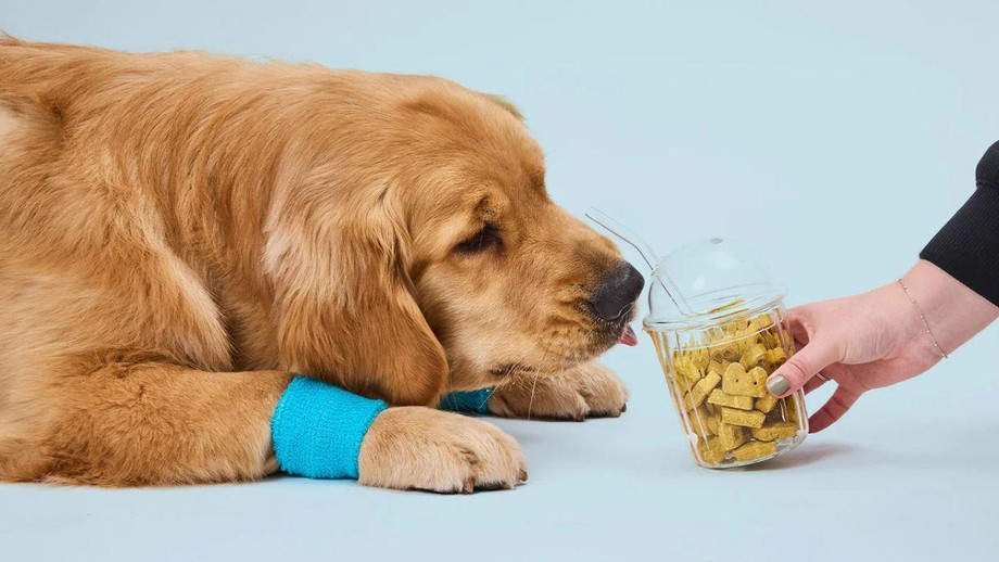 cbddogtreats.jpg
