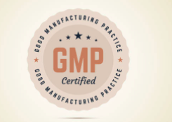 gmpimagesub.png
