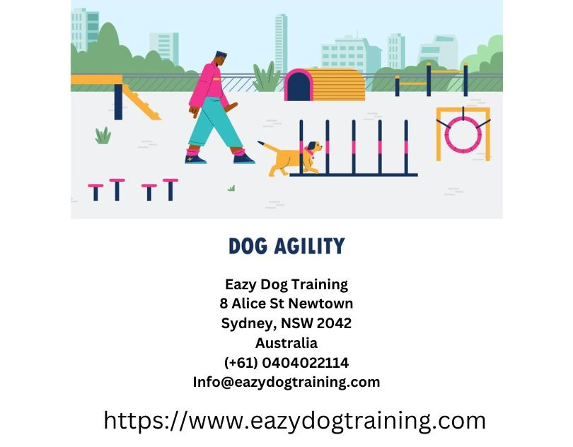 dogagilitytraininginnerwestsydney.jpg