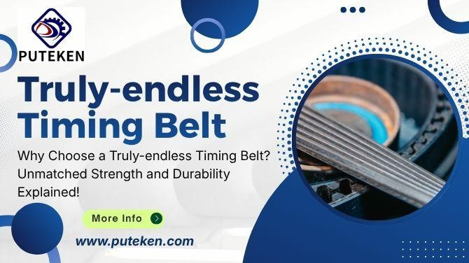 trulyendlesstimingbeltpr.jpg