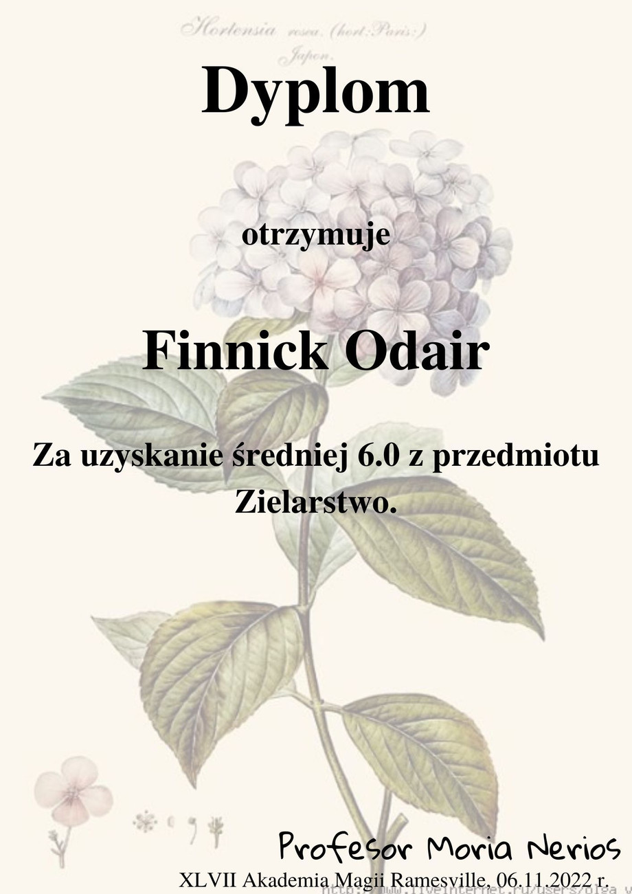 finick.jpg
