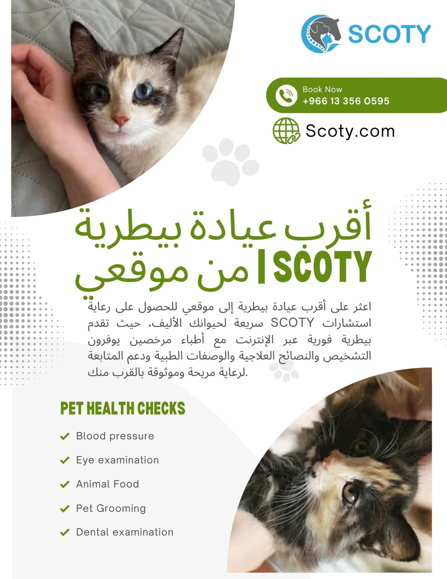greenandwhitegeometricpetcareflyer.jpg