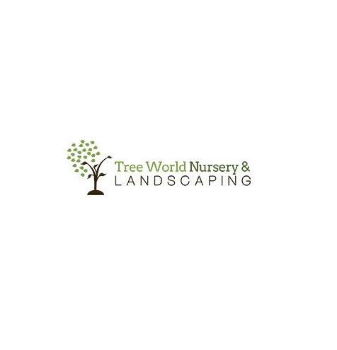 logo.jpg