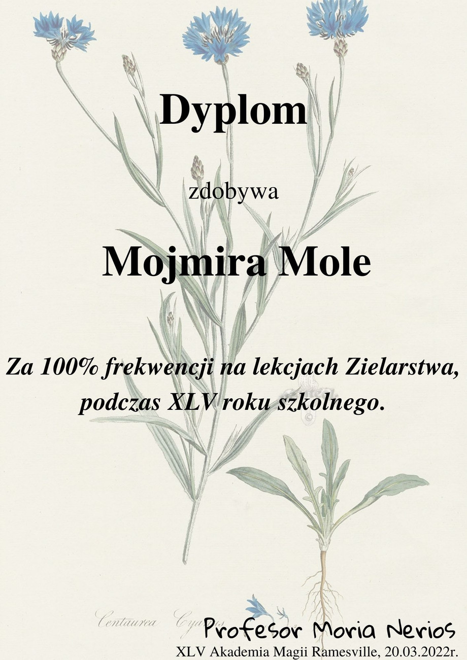 mojmira.jpg