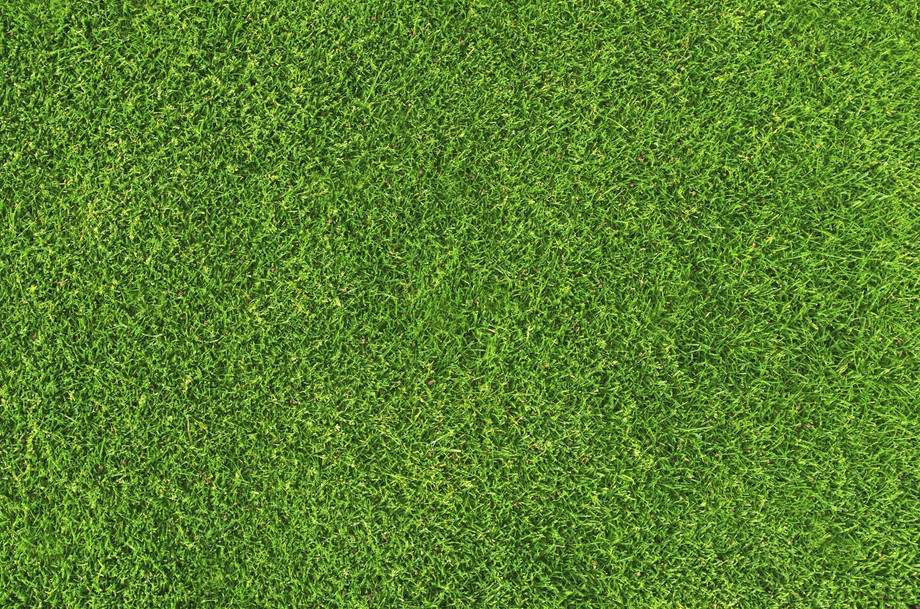 commercialsolutionsartificialgrassmesaaz.jpg