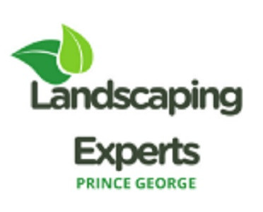 logo.jpg